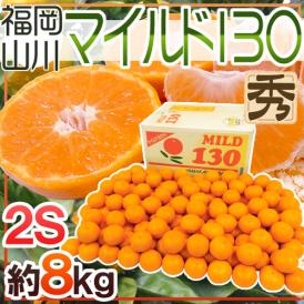 山川みかん ”福岡産 マイルド130” 秀品 小粒2Sサイズ 約8kg 産地箱【予約 11月以降】 送料無料