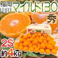 山川みかん ”福岡産 マイルド130” 秀品 小粒2Sサイズ 約4kg【予約 11月以降】 送料無料
