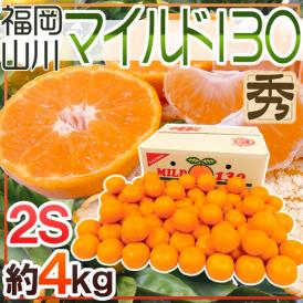 山川みかん ”福岡産 マイルド130” 秀品 小粒2Sサイズ 約4kg【予約 11月以降】 送料無料