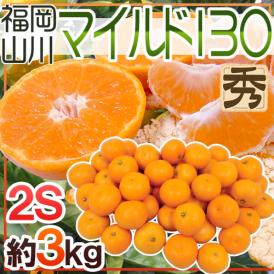 山川みかん ”福岡産 マイルド130” 秀品 小粒2Sサイズ 約3kg 産地箱【予約 11月以降】 送料無料