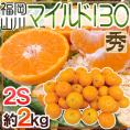 山川みかん ”福岡産 マイルド130” 秀品 小粒2Sサイズ 約2kg【予約 11月以降】 送料無料