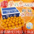 熊本産 夢未来 ”夢の恵みかん” 青秀品（ほんのちょっとだけ訳あり） S/M/Lサイズ 約4kg【予約 11月中旬以降】 送料無料