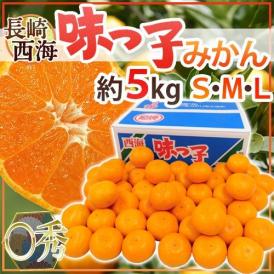 長崎 西海 ”味っ子みかん” ○秀品 S/M/Lサイズ 約5kg 最低糖度13度保証【予約 11月下旬以降】 送料無料