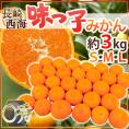 長崎 西海 ”味っ子みかん” ○秀品 S/M/Lサイズ 約3kg 最低糖度13度保証【予約 11月下旬以降】 送料無料