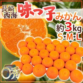 長崎 西海 ”味っ子みかん” ○秀品 S/M/Lサイズ 約3kg 最低糖度13度保証【予約 11月下旬以降】 送料無料