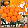 ”佐賀産 せとか” ちょっと訳あり 約3kg 大きさおまかせ【予約 1月下旬以降】 送料無料
