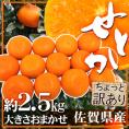 ”佐賀産 せとか” ちょっと訳あり 約2.5kg 大きさおまかせ【予約 1月下旬以降】 送料無料