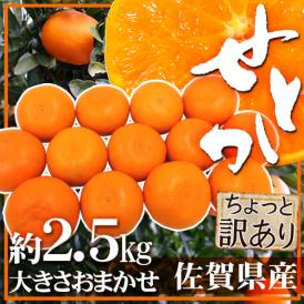 ”佐賀産 せとか” ちょっと訳あり 約2.5kg 大きさおまかせ【予約 1月下旬以降】 送料無料