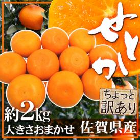 ”佐賀産 せとか” ちょっと訳あり 約2kg 大きさおまかせ【予約 1月下旬以降】 送料無料