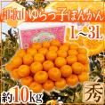 和歌山産 ”ゆらっ子ぽんかん” 秀品 L～3L 約10kg ポンカン【予約 1月中旬以降】 送料無料