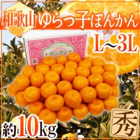 和歌山産 ”ゆらっ子ぽんかん” 秀品 L～3L 約10kg ポンカン【予約 1月中旬以降】 送料無料
