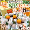 和歌山産 ”葉付きぽんかん” 秀品 50～72玉前後 約8kg ポンカン【予約 2月中旬以降】 送料無料