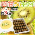 福岡産 ”甘うぃキウイ” 秀品 27～33玉前後 約3kg あまうぃキウイ【予約 10月下旬以降】 送料無料