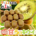 ”福岡産 甘うぃキウイ” 秀品 9～11玉前後 約1kg あまうぃキウイ【予約 10月下旬以降】 送料無料