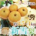 鳥取県 ”新雪梨” 秀品 3～5玉前後 約3.5～4kg【予約 12月中旬以降】 送料無料