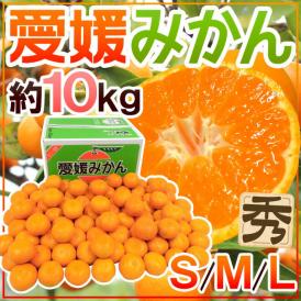 ”愛媛みかん” 秀品 S/M/Lサイズ 約10kg【予約 11月以降】 送料無料