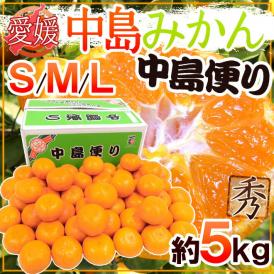 愛媛産 ”中島みかん 中島便り” 秀品 S/M/Lサイズ 約5kg 産地化粧箱 愛媛みかん【予約 11月以降】 送料無料