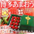 福岡産いちご ”博多あまおう” 最高等級EX(エクセレント) ギフト専用化粧箱入り 12~15粒 約450g×《1箱》【予約 12月中旬以降】【産地直送】 送料無料