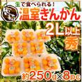 宮崎県 ”温室きんかん” 秀品 2L以上 約250g×《8pc》（合計約2kg）【予約 11月下旬以降】 送料無料