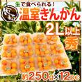 宮崎県 ”温室きんかん” 秀品 2L以上 約250g×《12pc》（合計約3kg）【予約 11月下旬以降】 送料無料