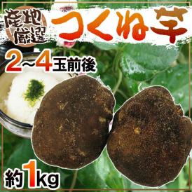 ネバりの強さが自慢！しっかりねばねばの高級食材♪