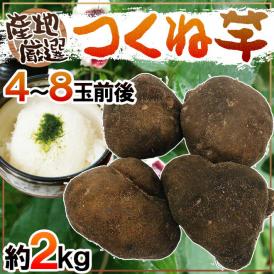 ネバりの強さが自慢！しっかりねばねばの高級食材♪