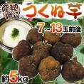 産地厳選 ”つくね芋・山の芋” 7～13玉前後 約5kg 山芋/大和芋/やまいも【予約 11月以降】 送料無料