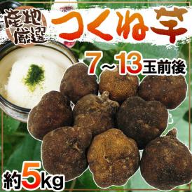 産地厳選 ”つくね芋・山の芋” 7～13玉前後 約5kg 山芋/大和芋/やまいも【予約 11月以降】 送料無料