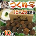 産地厳選 ”つくね芋・山の芋” 15～25玉前後 約10kg 山芋/大和芋/やまいも【予約 11月以降】 送料無料