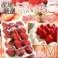 ケーキにピッタリサイズの ”いちご” Mサイズ 約250~300g 1パック 産地厳選 ケーキ用/製菓用/業務用