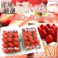 ケーキにピッタリサイズの ”いちご” Mサイズ 約250～300g×《2pc》 産地厳選 ケーキ用/製菓用/業務用 送料無料