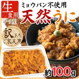 ”天然うに” 約100g チリ産 生食用 ブランチ製法 ミョウバン不使用