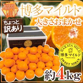 福岡産 山川みかん ”博多マイルド” ちょっと訳あり 約4kg 大きさおまかせ 黒箱【予約 11月中旬以降】 送料無料