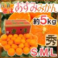 佐賀県 JAからつ ”あすみみかん” 秀品 S/M/L 約5kg【予約 2月下旬以降】 送料無料