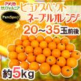 カリフォルニア産 プレミアムオレンジ ”ピュアスペクトネーブルオレンジ” 20～35玉前後 約5kg【予約 1月下旬以降】 送料無料