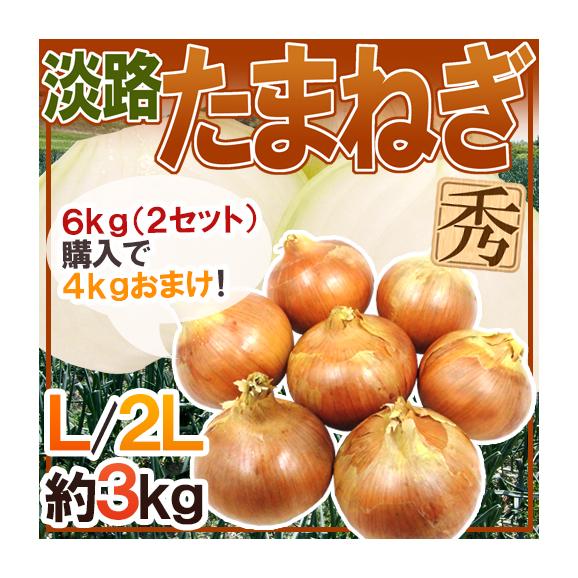 &rdquo;兵庫県 淡路島産 たまねぎ&rdquo; 秀品 L/2L 約3kg《2セット購入で4kgおまけ&rarr;10kgでお届け♪》【予約 入荷次第発送】 送料無料01