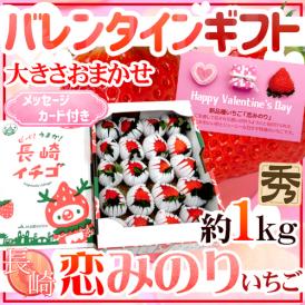 長崎県 ”バレンタイン 枝付き恋みのりいちご” 秀品 約1kg 大きさおまかせ メッセージカード付き【予約 2月1日～14日お届け予定】 送料無料