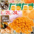 宮崎県 ”完熟きんかん たまたま” ちょっと訳あり 約3kg 大きさおまかせ 産地箱【予約 2月中旬以降】 送料無料