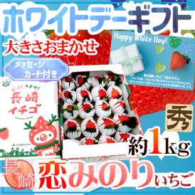 【送料無料】長崎県 ”ホワイトデー 枝付き恋みのりいちご” 秀品 約1kg 大きさおまかせ メッセージカード付き【予約 3月1日～14日お届け予定】