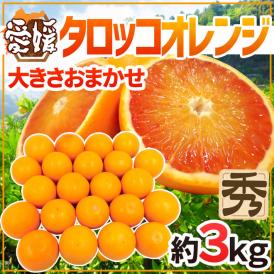 愛媛県 ”タロッコオレンジ” 秀品 約3kg 大きさおまかせ ブラッドオレンジ【予約 4月以降】 送料無料