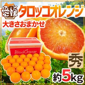 愛媛県 ”タロッコオレンジ” 秀品 約5kg 大きさおまかせ ブラッドオレンジ【予約 4月以降】 送料無料