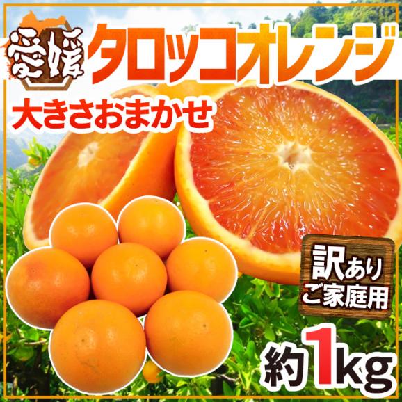憧れの 愛媛県 タロッコオレンジ” 訳あり 約1kg 大きさおまかせ 果物