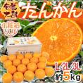 鹿児島 奄美大島産 ”たんかん” 秀品 L/2L/3L 約5kg 化粧箱入り【予約 2月下旬以降】 送料無料
