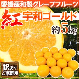 愛媛県 ”紅宇和ゴールド” 訳あり 約5kg 大きさおまかせ【予約 4月中旬以降】 送料無料