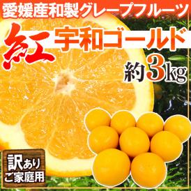 爽やかで上品な甘さ♪喉を潤す春～夏の柑橘！