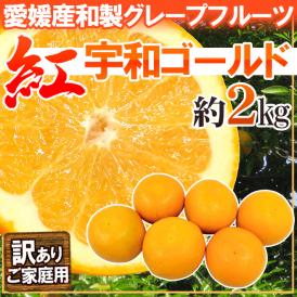 爽やかで上品な甘さ♪喉を潤す春～夏の柑橘！