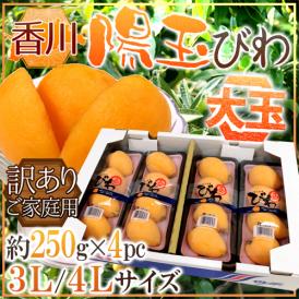 香川県 ”陽玉びわ（ヨウギョク）” 訳あり 超大玉限定 3L/4Lサイズ 約250g×4pc（計約1kg） 枇杷【予約 5月下旬以降】 送料無料
