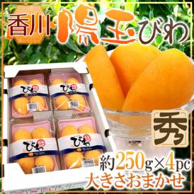香川県 ”陽玉びわ（ヨウギョク）” 秀品 L/2Lサイズ 約250g×4pc（計約1kg） 枇杷【予約 5月下旬以降】 送料無料