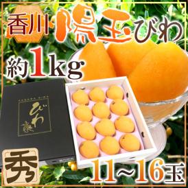 香川県 ”陽玉びわ（ヨウギョク）” 秀品 大玉限定 11～16玉 約1kg 化粧箱 枇杷【予約 5月下旬以降】 送料無料