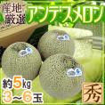 ”アンデスメロン” 秀品 3～6玉 約5kg 産地厳選【予約 5月末以降】 送料無料